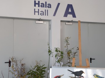 Fotorelacja z Forum Seniora 2025, 